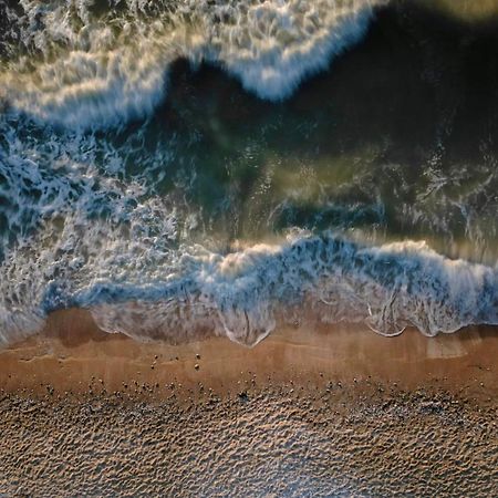 Les Cigognes - Deux Pieces - Deauville Centre Dış mekan fotoğraf