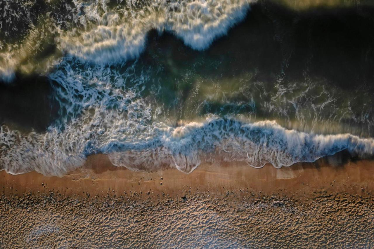 Les Cigognes - Deux Pieces - Deauville Centre Dış mekan fotoğraf